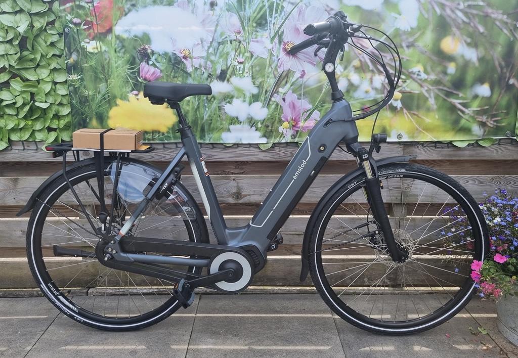 AMSLOD BOSTON n8 59 CM €1895